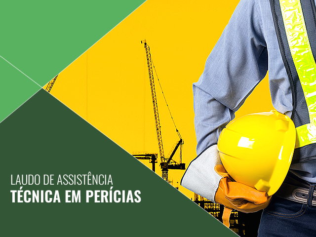 Assistência Técnica de Pericias